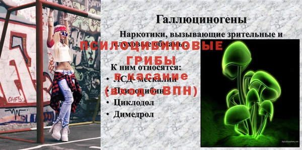стаф Артём
