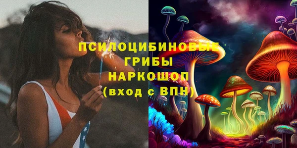 стаф Артём