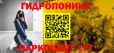 гидропоника Берёзовский