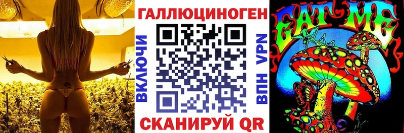купить  сайты  Карталы  Галлюциногенные грибы GOLDEN TEACHER 