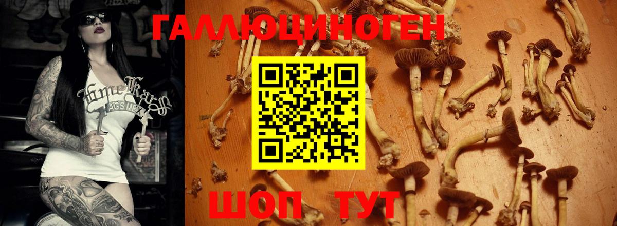 Галлюциногенные грибы мицелий Карталы