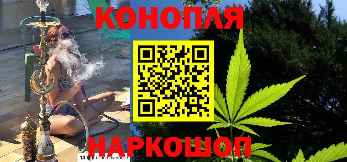 Шишки марихуана тримм  Каннабис VHQ  Вход с VPN  Карталы  Канабис SATIVA & INDICA 